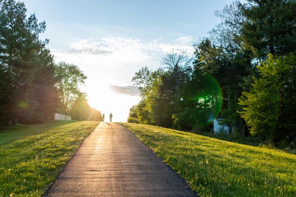 Cost of Asphalt Pathway Installation in Sacramento