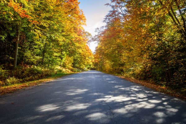 Cost of Blacktop Replacement in Sacramento